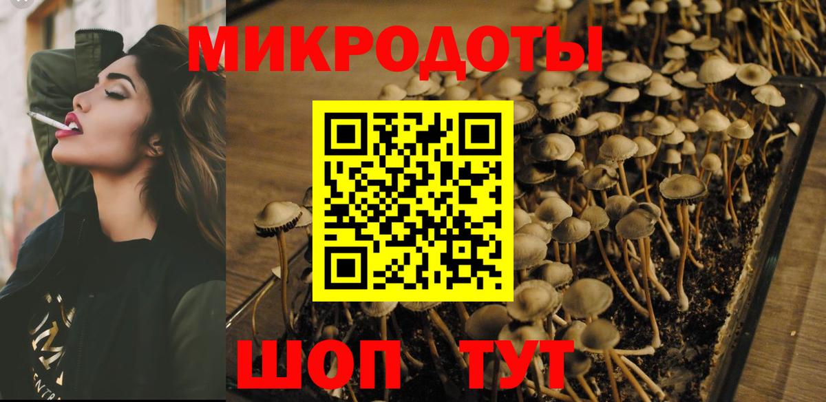 Псилоцибиновые грибы Psilocybine cubensis  Вход с VPN  Снежинск 